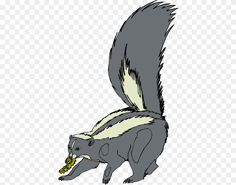 Skunk Cliparts, Person, Animal, Mammal, Wildlife Free Transparent Png