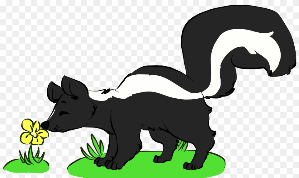 Skunk Commission, Baby, Person, Animal, Wildlife Free Png