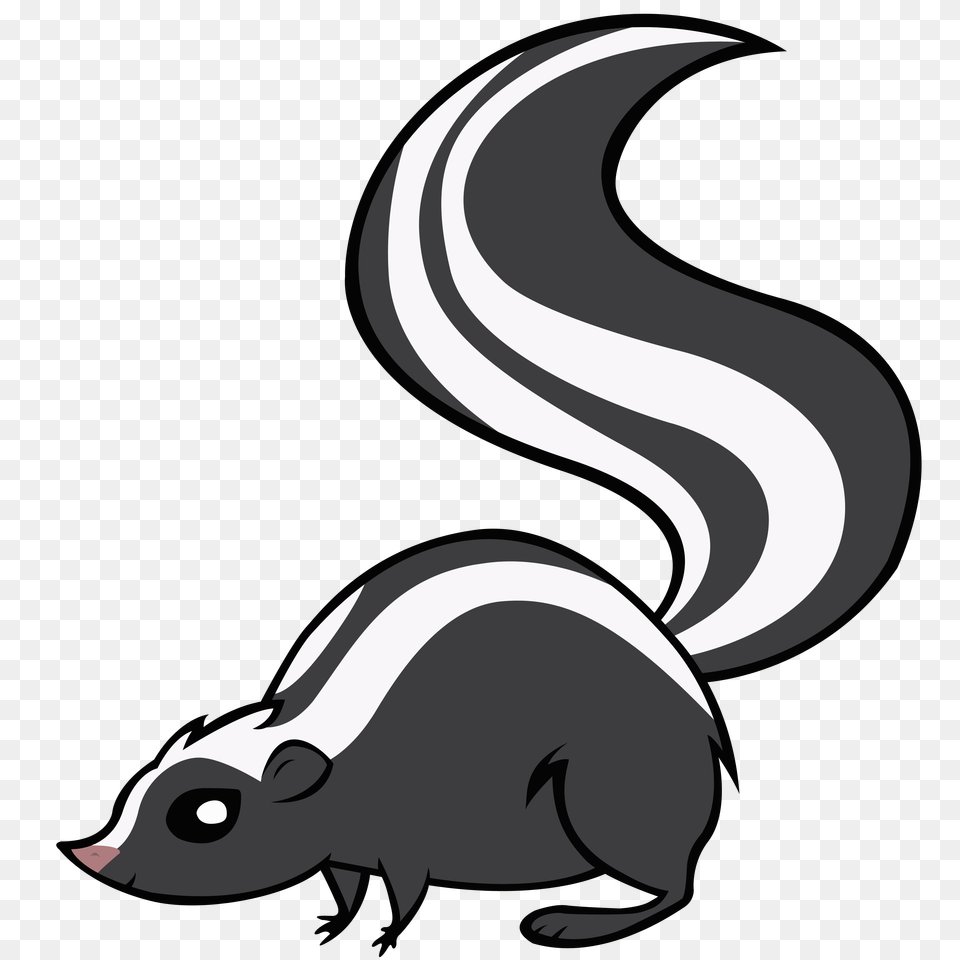 Skunk Download, Animal, Wildlife, Mammal, Grass Free Transparent Png