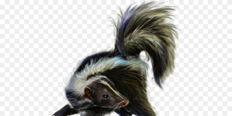 Skunk Striped Skunk, Animal, Mammal, Wildlife, Baby Free Transparent Png