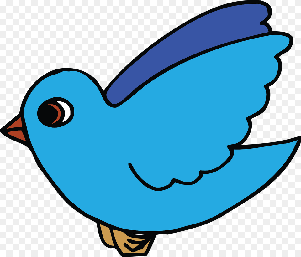 Sky Blue Bird Clipart, Animal, Jay, Fish, Sea Life Png