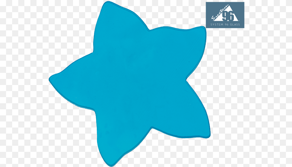 Sky Blue Starfish Language, Leaf, Plant, Star Symbol, Symbol Free Transparent Png