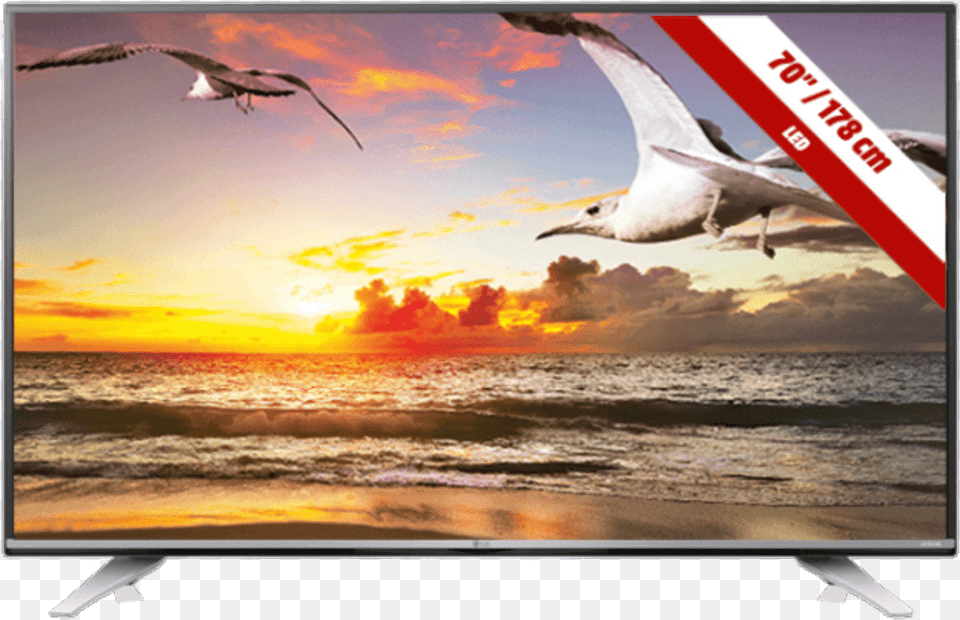Sky Tv 40 Inch, Animal, Monitor, Hardware, Flying Png