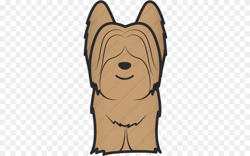 Skye Terrier, Head, Person, Face, Baby Free Png