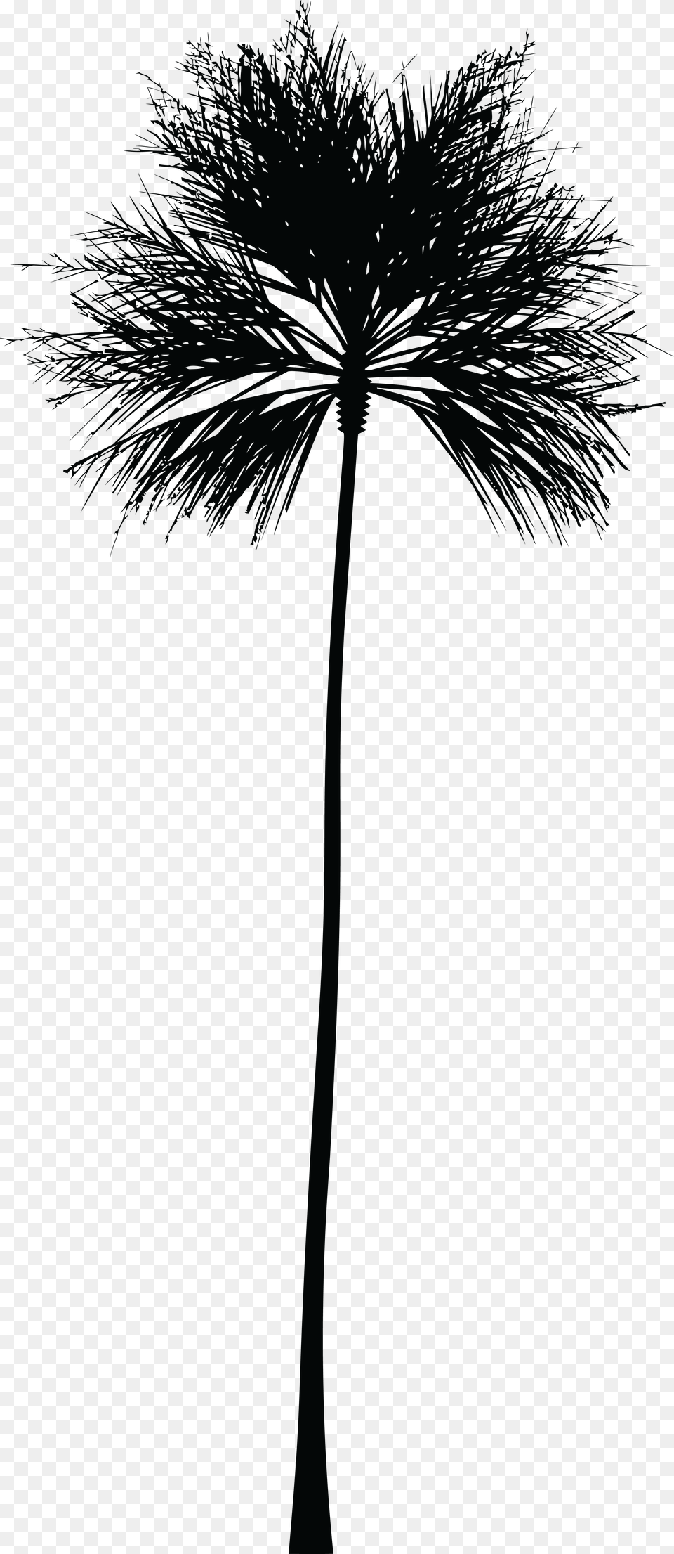 Skyline Clipart Palm Tree Black Palm Tree, Cross, Flower, Plant, Symbol Free Png