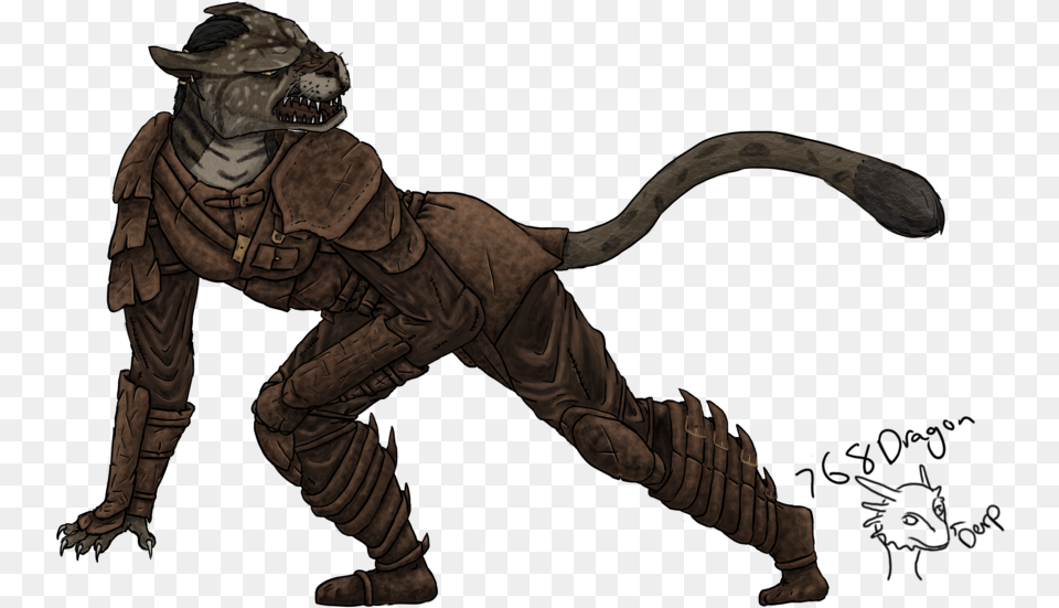 Skyrim Art Khajiit Skyrim Khajiit, Adult, Male, Man, Person Free Transparent Png