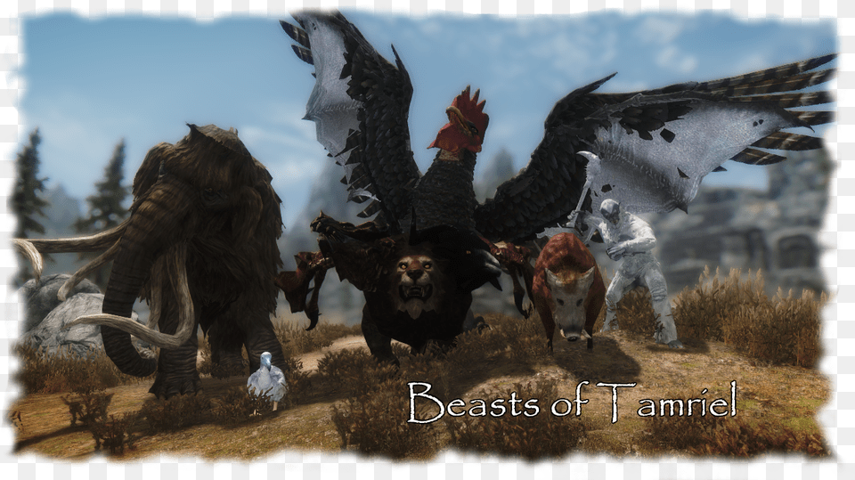 Skyrim Beasts Of Tamriel, Adult, Wedding, Vulture, Person Png