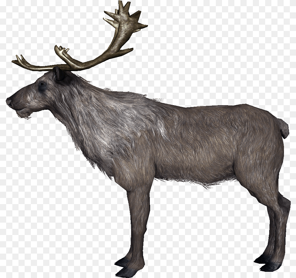 Skyrim Deer, Animal, Mammal, Wildlife, Elk Free Png Download