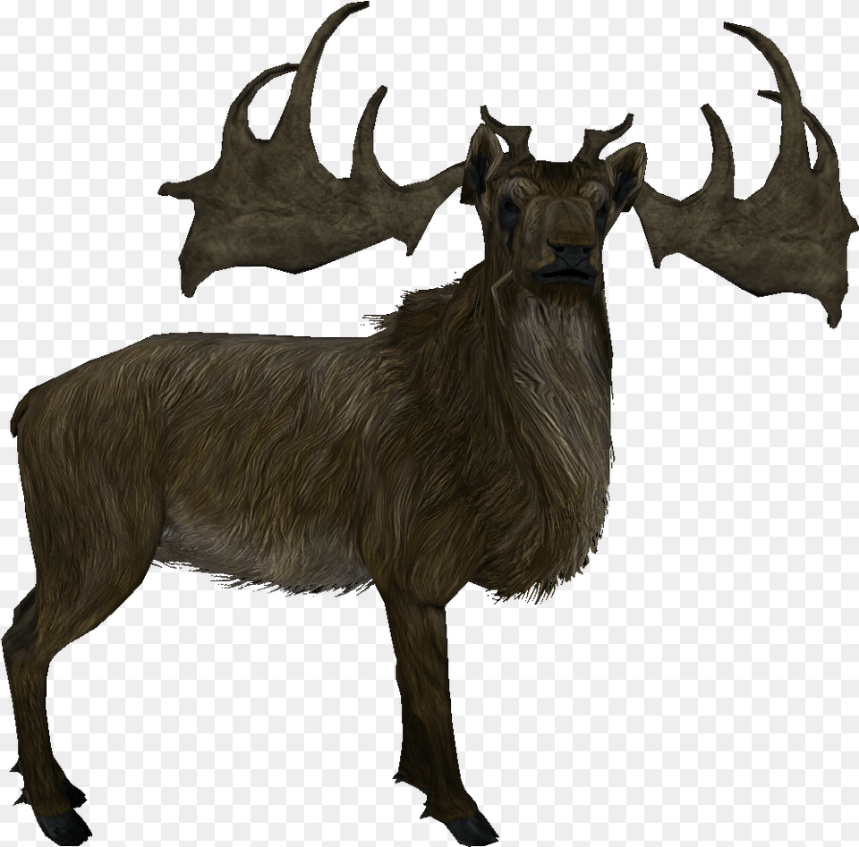 Skyrim Deer, Animal, Elk, Mammal, Wildlife Free Transparent Png