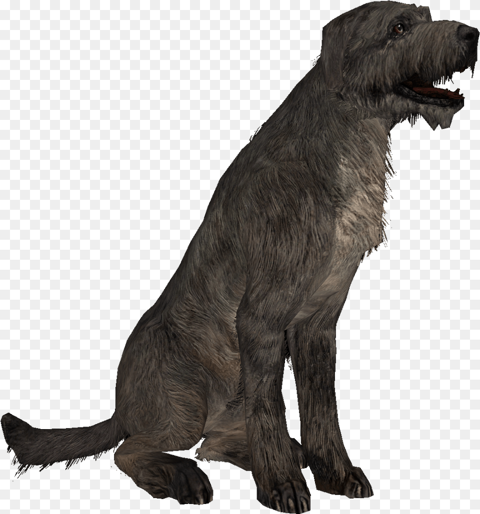 Skyrim Dog, Animal, Canine, Mammal, Pet Png