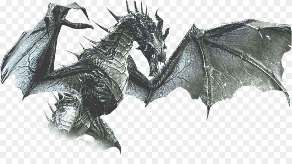 Skyrim Dragon, Person Png