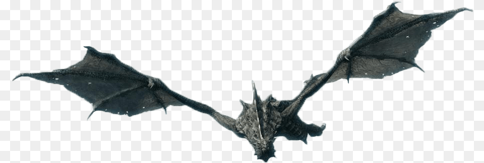 Skyrim Dragon No Background, Animal, Mammal, Wildlife, Bat Png Image