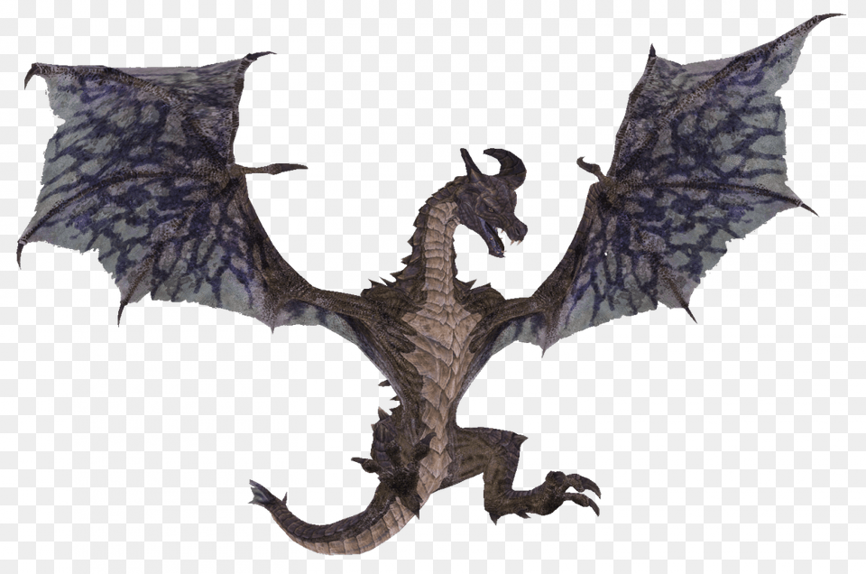 Skyrim Dragon Skyrim Dragon, Animal, Bird Png