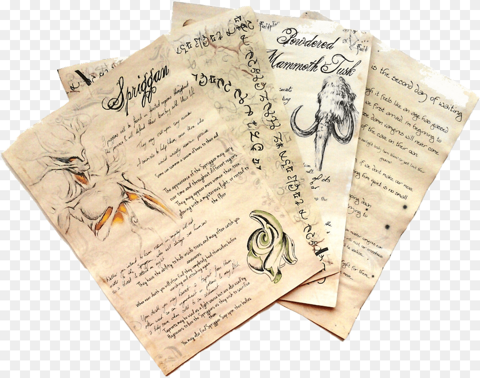 Skyrim Freetoedit Community Parchment Notes Cursive, Page, Text, Adult, Female Free Png Download