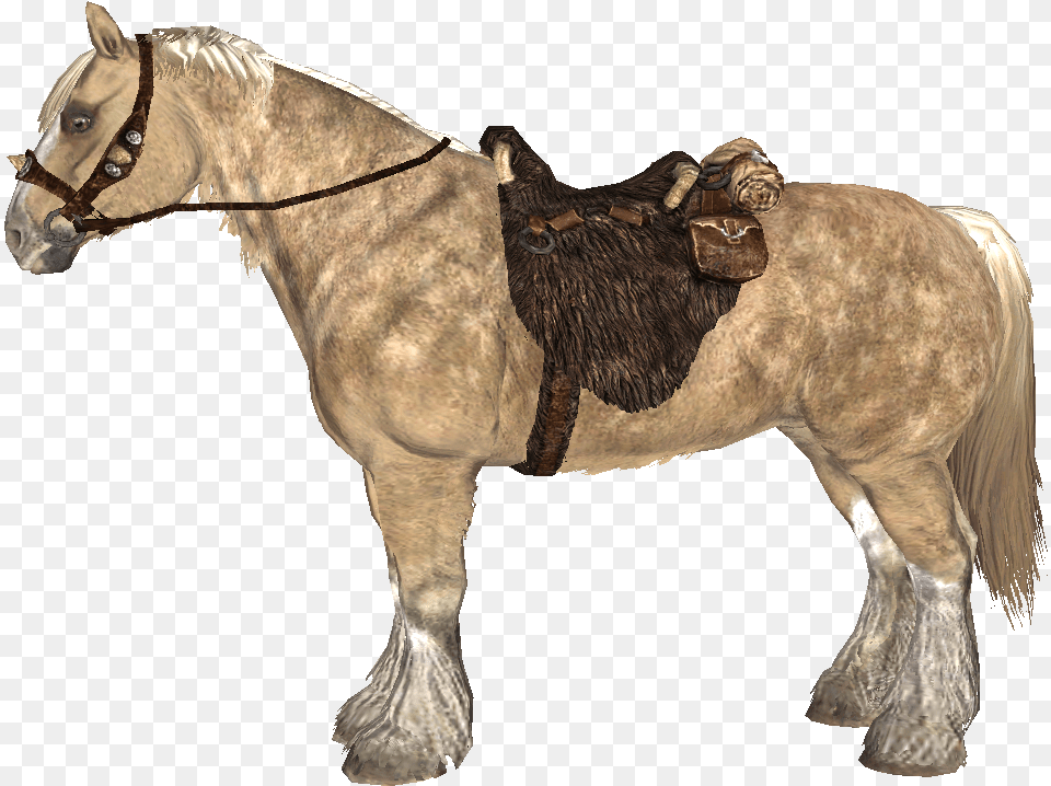 Skyrim Frost Horse, Animal, Mammal, Saddle Png
