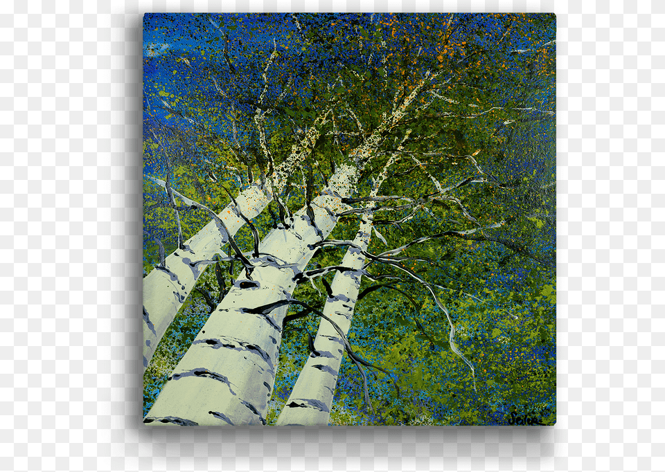 Skyward Aspen Trees Box Art Vertical, Birch, Plant, Tree, Tree Trunk Png