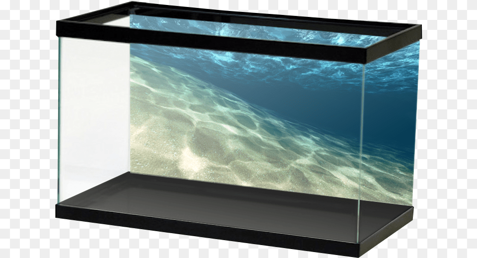 Slanted Sand Open Water Background Akwarium, Animal, Sea Life, Fish, Aquarium Free Png Download