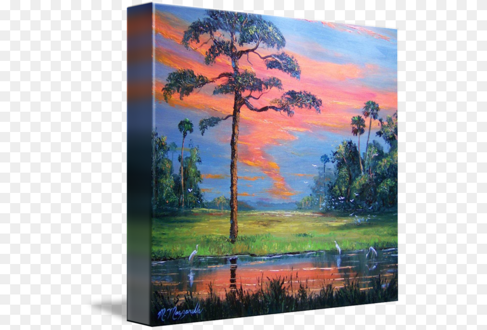 Slash Pine Stock Gallery Wrapped Canvas Art Print 10 X 16 Entitled Fire, Tree, Plant, Painting, Outdoors Png