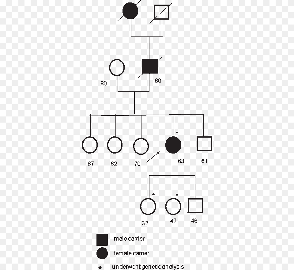 Slashes Indicate Dead Individuals Dead Male On Pedigree, Diagram Png