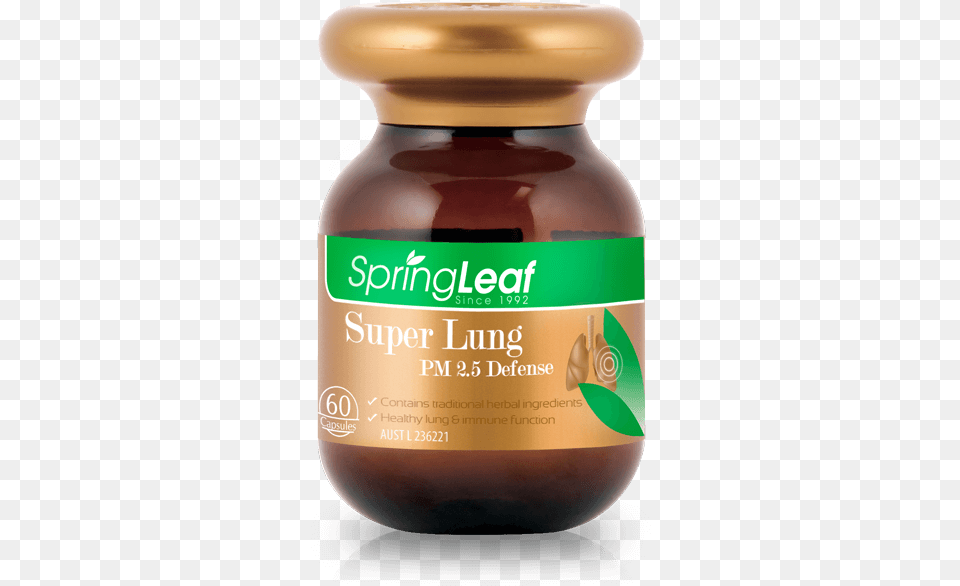 Slc High Lung Spring Leaf Ginkgo Biloba, Herbal, Herbs, Plant, Astragalus Free Png Download