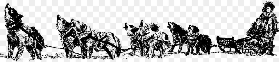 Sled Dog Clip Art, Gray Png