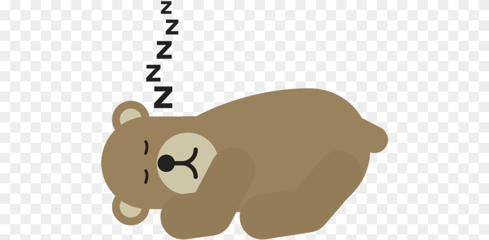 Sleeping Bear, Animal, Mammal, Wildlife, Piggy Bank Png Image