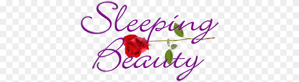 Sleeping Beauty Sleeping Beauty, Flower, Plant, Rose, Dynamite Free Transparent Png