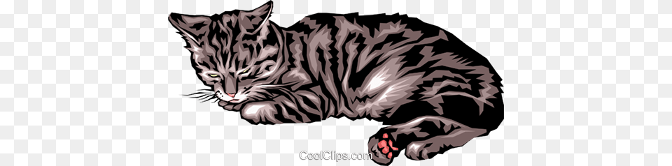 Sleeping Cat Royalty Vector Clip Art Illustration, Animal, Mammal, Manx, Pet Png Image