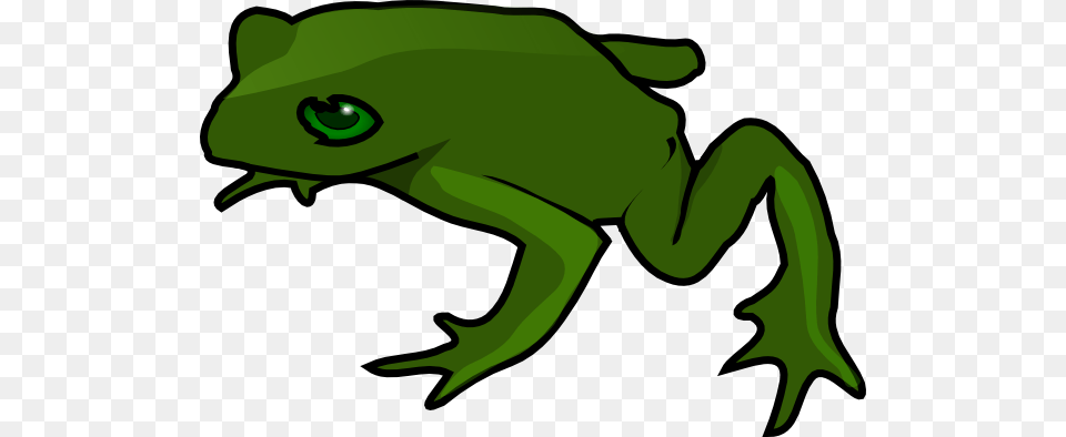 Sleeping Clipart Frog, Amphibian, Animal, Green, Wildlife Png