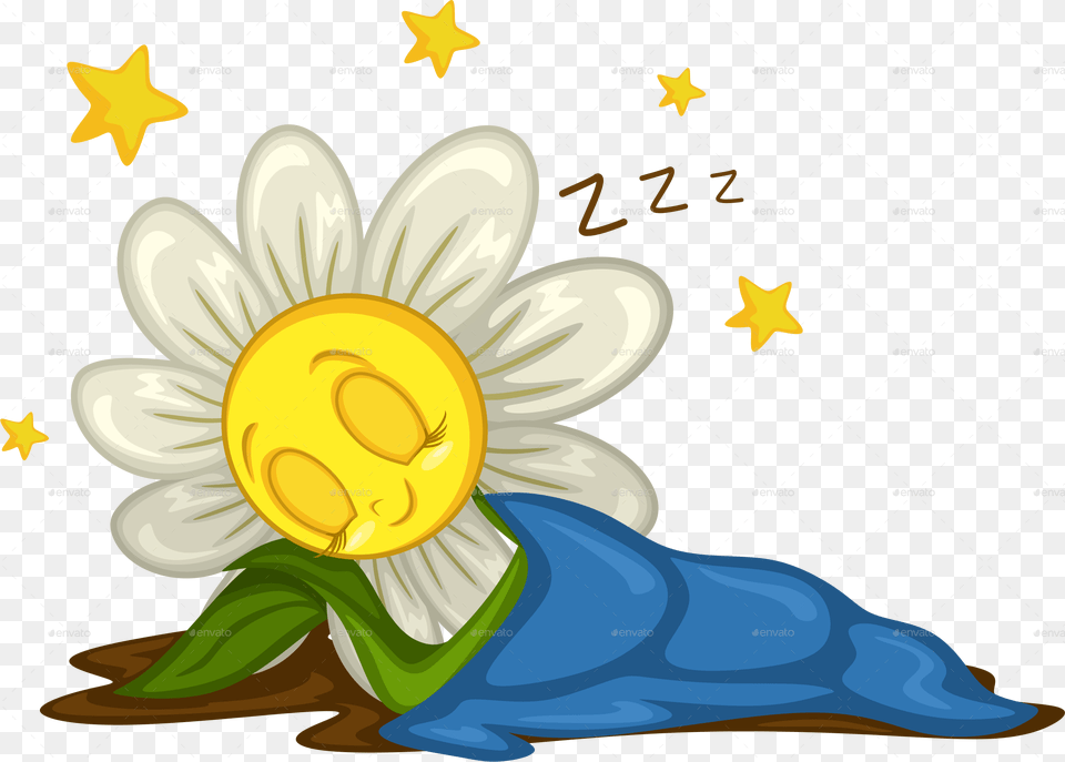Sleeping Daisy, Art, Flower, Graphics, Plant Free Png Download