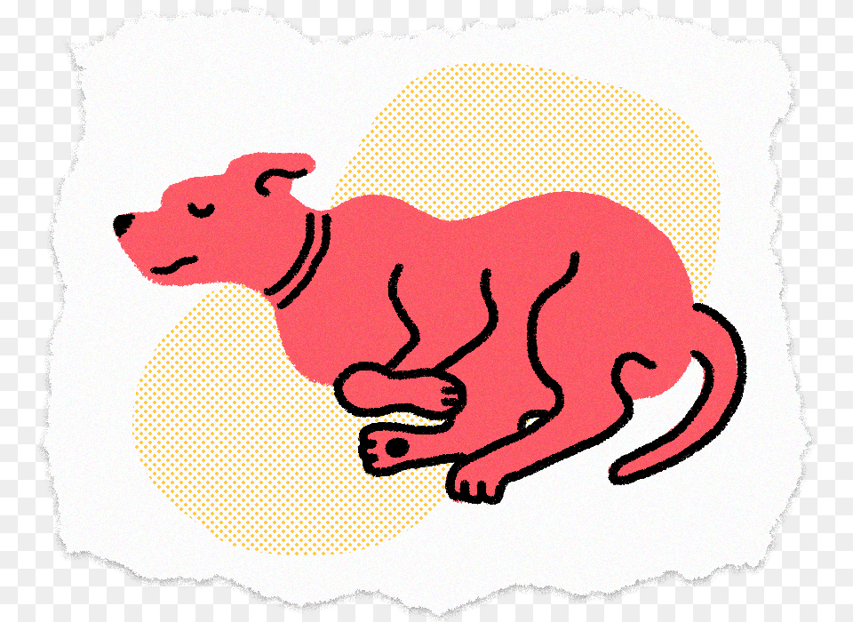 Sleeping Dog2 Illustration Illustration, Animal, Mammal, Face, Head Png Image
