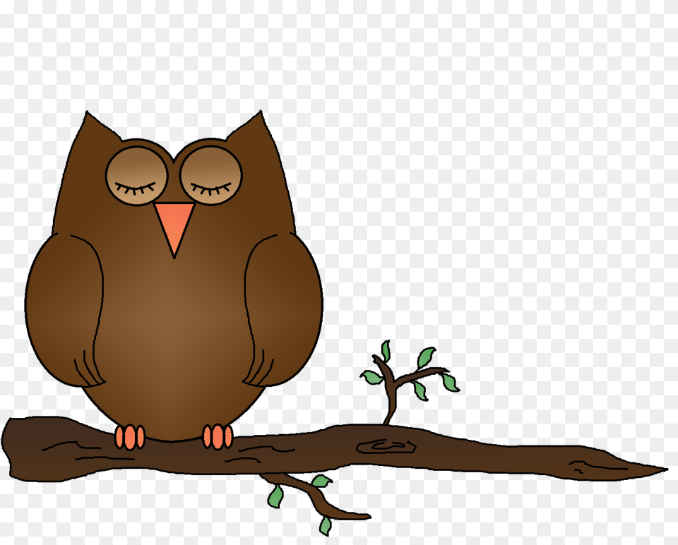 Sleeping Owl Clipart Clip Art, Animal, Kangaroo, Mammal, Wildlife Free Png