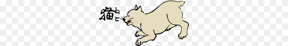 Sleepy Calico Cat, Animal, Kangaroo, Mammal Png