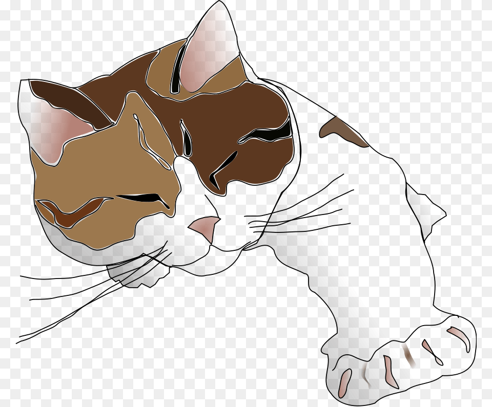 Sleepy Calico Cat Clipart Cat Vector, Baby, Person, Animal, Mammal Free Png