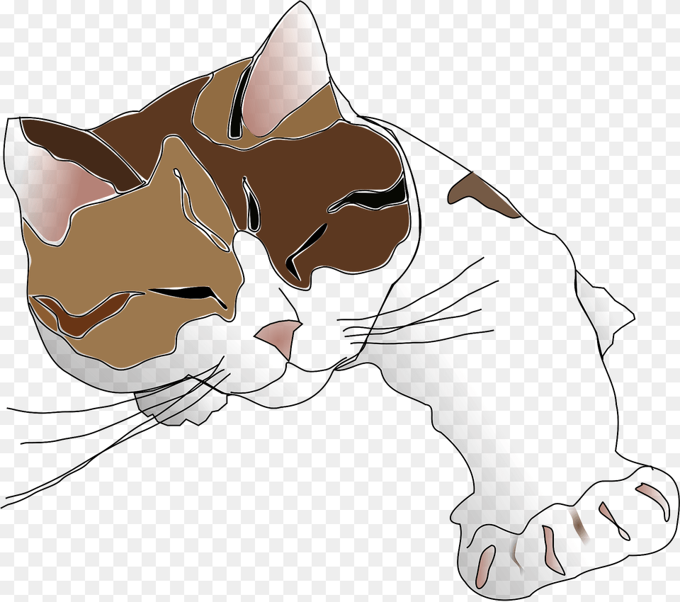 Sleepy Cat Clipart, Person, Animal, Mammal, Pet Free Png