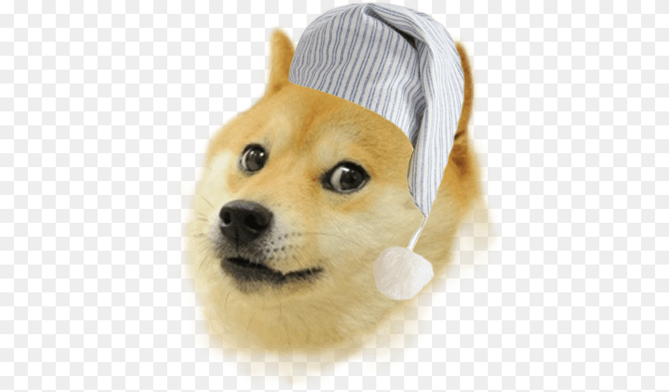 Sleepy Doge Transparent Dodge Dog, Clothing, Hat, Animal, Canine Png
