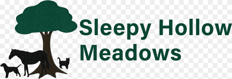 Sleepy Hollow Meadows Black Cat, Plant, Tree, Vegetation, Land Free Png