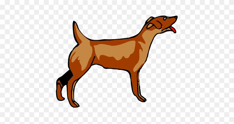 Sleepy Puppy, Animal, Deer, Mammal, Wildlife Png Image