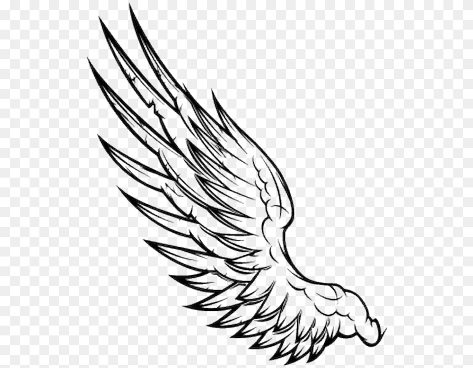 Sleeve Tattoo Vector Graphics Clip Art Angel Une Aile D Ange, Animal, Bird, Vulture, Eagle Free Png