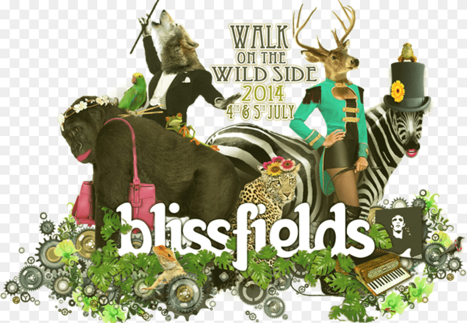 Sleigh Bells 2manydjs And Chloe Howl Among The First Illustration, Animal, Bird, Wildlife, Panther Free Transparent Png