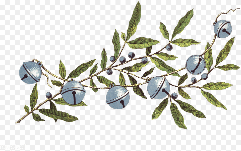 Sleigh Jingle Bells Hd Jingle Bell, Food, Fruit, Leaf, Plant Free Transparent Png