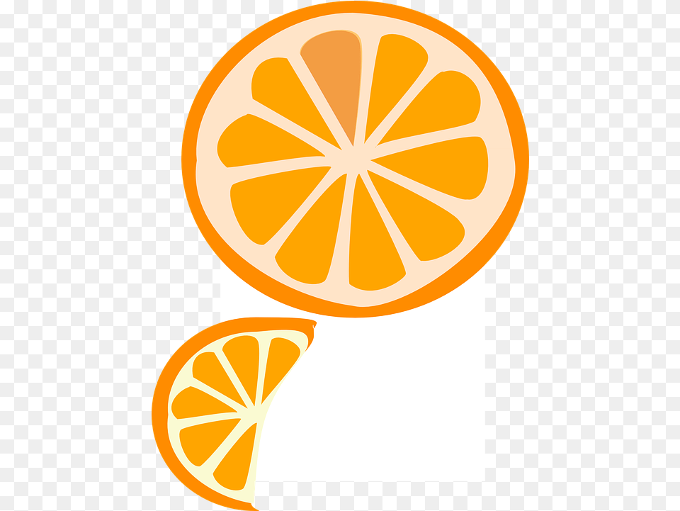 Slice Fruit Orange Orange Fruit Graphic, Citrus Fruit, Food, Plant, Produce Free Transparent Png