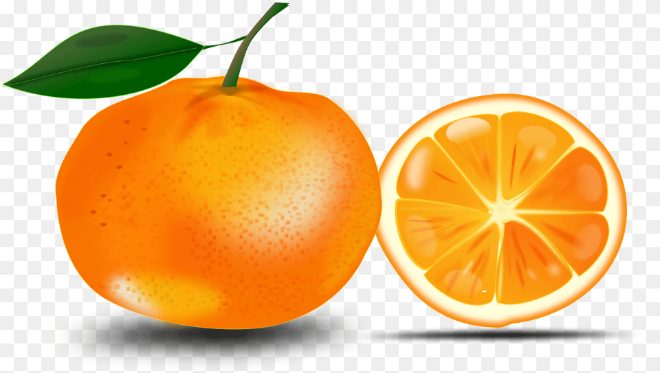 Slice Of An Orange Clipart, Citrus Fruit, Food, Fruit, Grapefruit Free Png