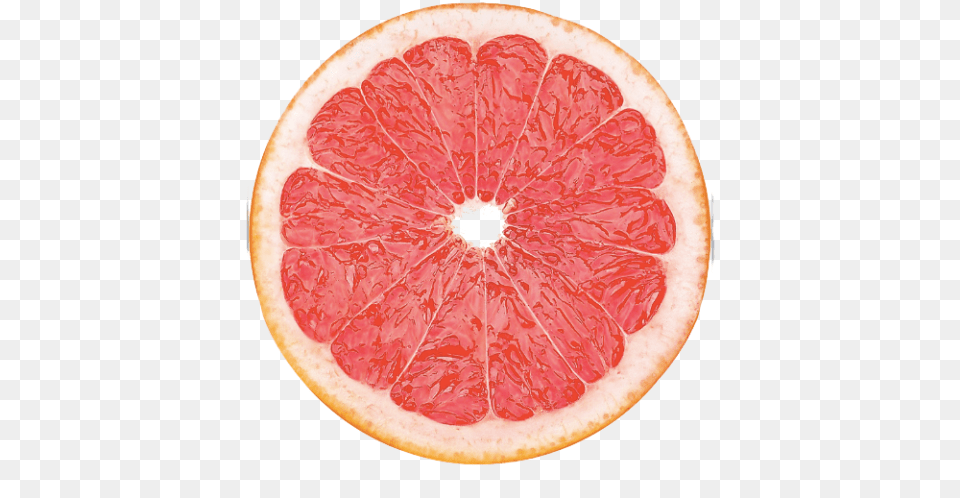 Slice Of Grapefruit Grapefruit Slice, Citrus Fruit, Food, Fruit, Plant Free Transparent Png