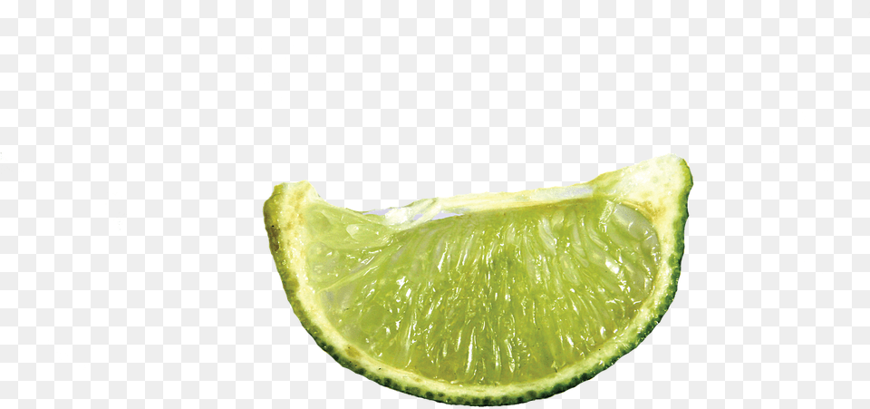 Slice Of Lime, Citrus Fruit, Food, Fruit, Plant Free Png