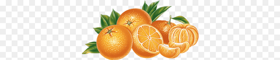 Slice Of Orange Clipart Big Vector Orange Fruit, Citrus Fruit, Food, Plant, Produce Free Png