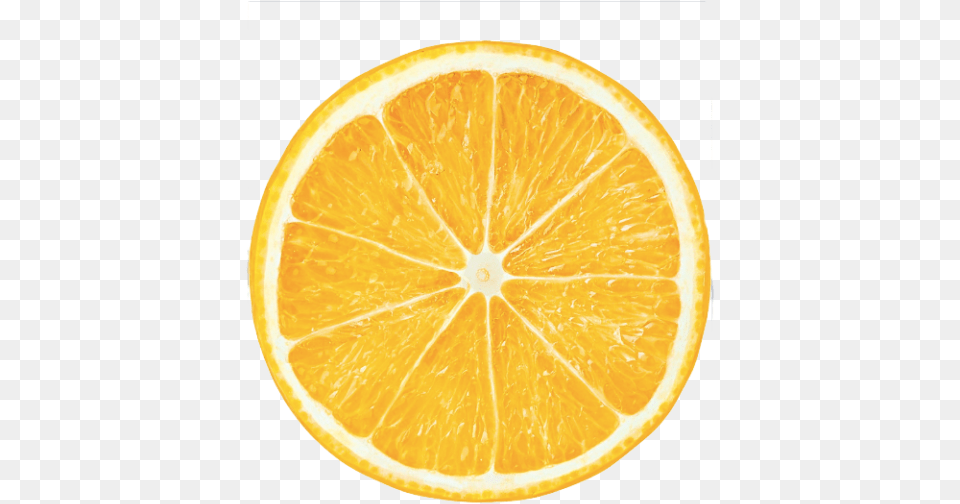 Slice Of Orange Transparent Background Lemon Slice, Citrus Fruit, Food, Fruit, Plant Png Image