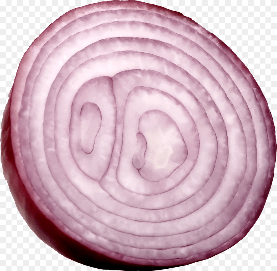 Slice Onion, Food, Produce, Plant, Vegetable Free Png