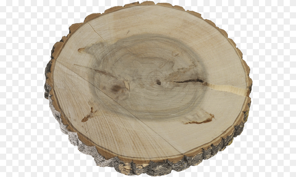 Slice Poplar Base With Banner Wood, Plant, Tree, Bowl Free Png