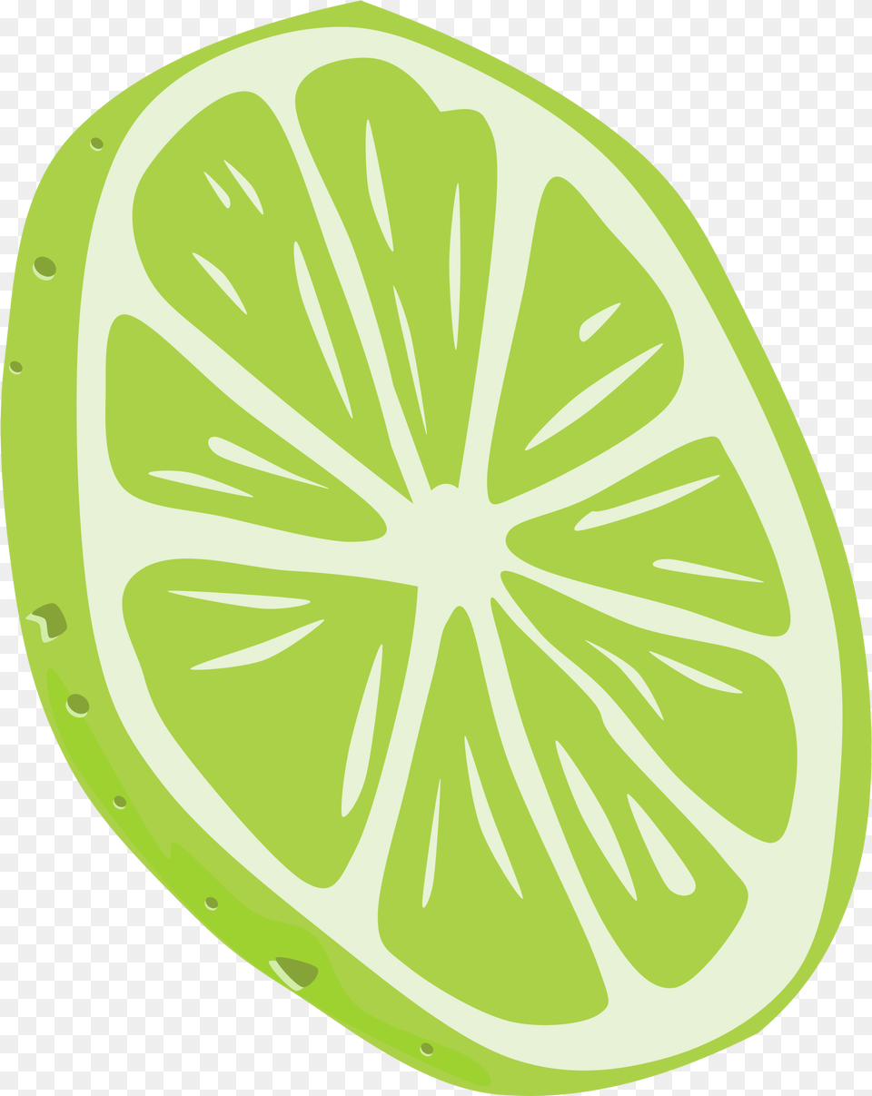 Sliced Lime Transparent Background Clipart Lime, Citrus Fruit, Food, Fruit, Plant Png Image
